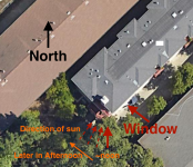 Redwood Tree.png Redwood Tree.png