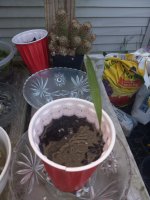 20230507_073328.jpg