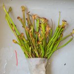 20230515_123233.jpg