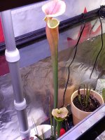 20230318_130933.jpg 20230318_130933.jpg