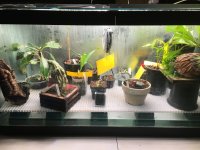 1429DB3B-0712-42A5-9A7E-A3F62E191C24.jpeg