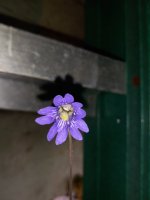 20230107_095702.jpg