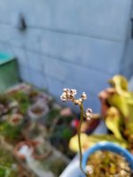 20230714_114504.jpg