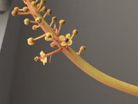 IMG_3285.jpeg