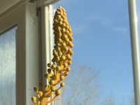 IMG_3281.jpeg