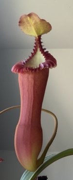 IMG_3405-1.jpeg
