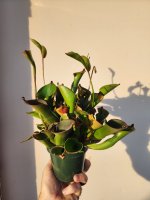 20231230_164735.jpg
