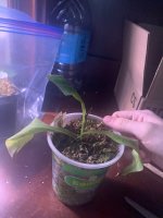 IMG_0814.jpeg
