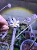 20240407_090753.jpg