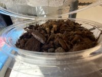 IMG_2309.jpeg