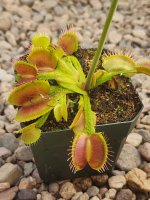 20240430_071129.jpg 20240430_071129.jpg
