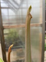IMG_6076.jpeg