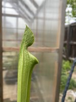 IMG_6079.jpeg