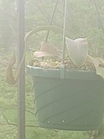 IMG_20240505_103628382.jpg