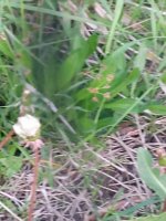 IMG_20240505_203043300.jpg