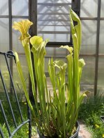IMG_6113.jpeg