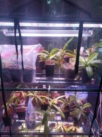 IMG_20240525_124653.jpg