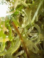 IMG_1870.jpeg