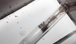 Screenshot 2024-10-30 3.17.07 PM.png