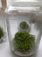 20240910_143357.jpg