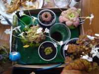 IMG_20250308_155527_MP.jpg