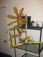 IMG_0057.jpg