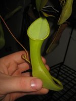 IMG_0062.jpg