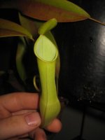 IMG_0065.jpg