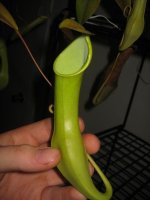 IMG_0063.jpg