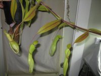IMG_0051.jpg