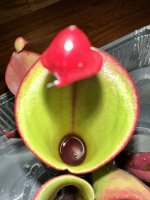 IMG_8990.jpeg