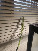 20260210_073830.jpg