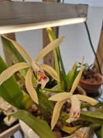20260221_101452.jpg