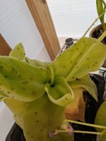 20260417_083449.jpg