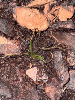 IMG_1634.jpeg