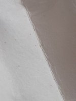 20260620_204713.jpg