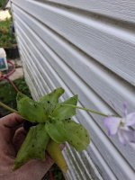 20260710_081037.jpg