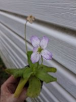 20260710_081019.jpg