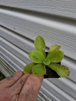 20260710_083548.jpg