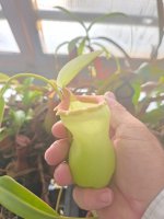 20260710_072121.jpg