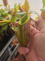 20260710_071534.jpg