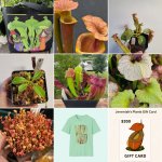 basic_square_9_photo_collage.jpg