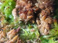 IMG_6797.jpeg