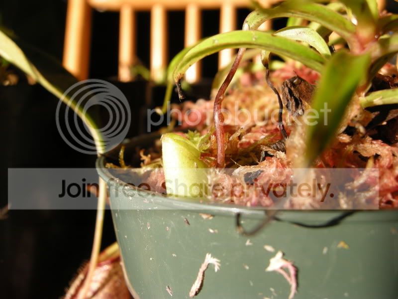 DSCN5697.jpg