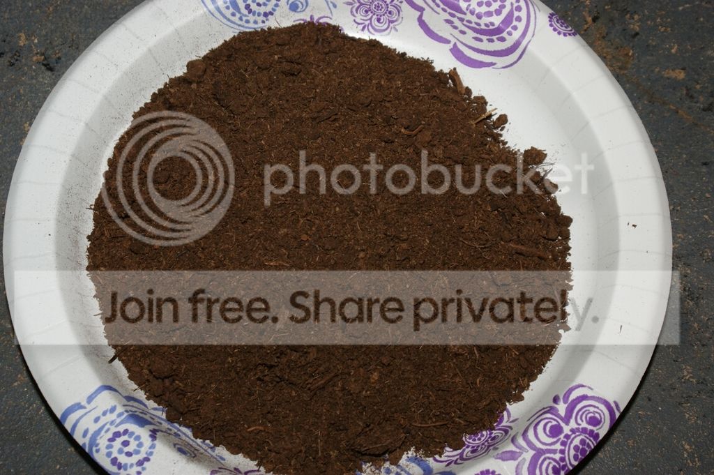 Leaf%20Cutting_002.jpg
