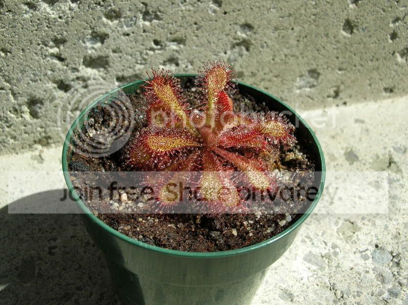 DSCN3565.jpg