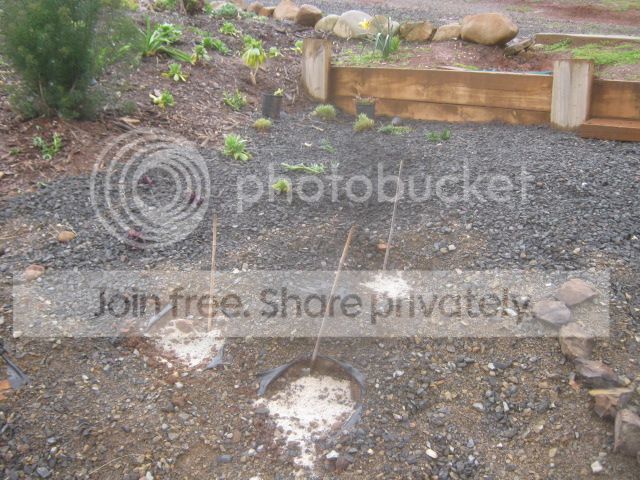 IMG_4490_zps1dc51eb4.jpg