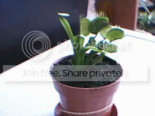 Picture029.jpg