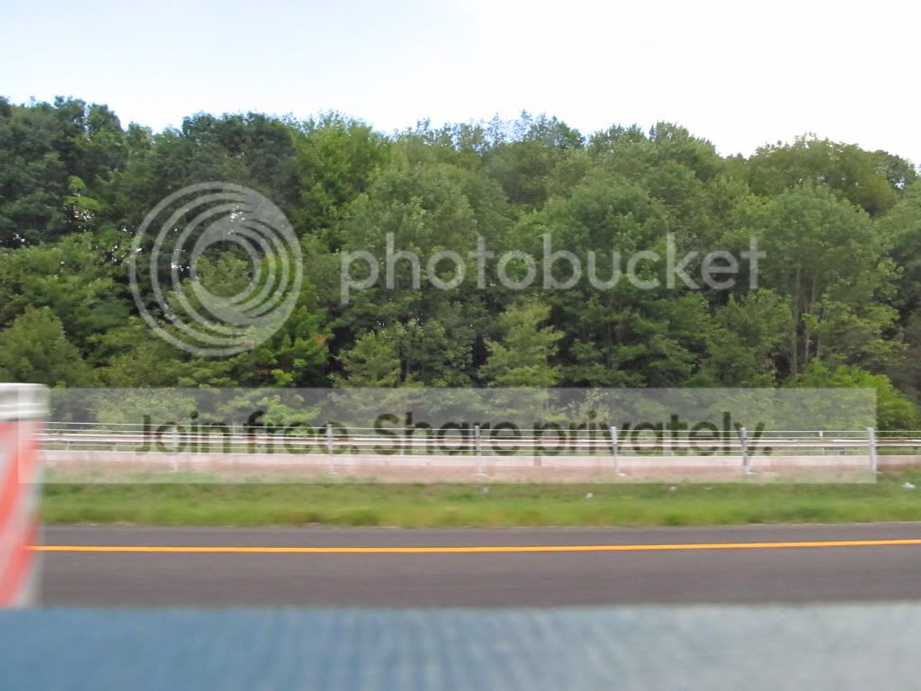 IMG_8983.jpg