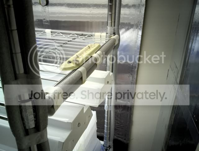 20111106_001b.jpg